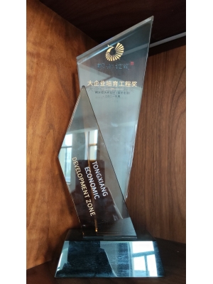 桐鄉(xiāng)經(jīng)濟(jì)開(kāi)發(fā)區(qū)(高橋街道) 大企業(yè)培育工程獎(jiǎng)